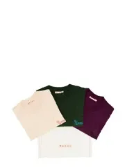 マルニ 3パック Tシャツ サイズ:36(s) 新品
