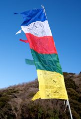 Item thumbnail for item 8b52da3e-34db-49fb-b620-1581763dd477