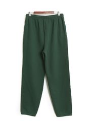 新品☆カーハートwip Floyde Pant ツイルパンツ 国内希少 グリーン