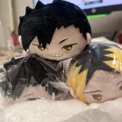 ハイキュー ぽてコロマスコット ぽてコロ もちころりん もちマス ボックス特典 黒尾 孤爪 研磨