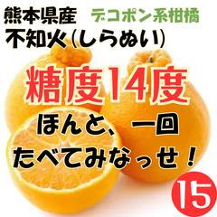 甘くて濃厚！訳アリ 熊本産 不知火 15玉 約2.5kg 糖度15度 Mサイズ デコポン系 家庭用 柑橘 フルーツ でこぽん しらぬい みかん
