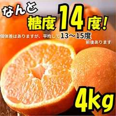 今季ラスト クール 今季わずか！不知火 甘い柑橘！糖度14度 濃厚！ 熊本産 不知火 約4kg 訳アリ Mサイズ 青果店厳選 デコポン系 家庭用 「20〜25玉入り」のサムネイル