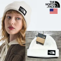 The North Face SALTY LINED BEANIE ノースフェイス USAモデル ロゴ ビーニー ニットキャップ 【9657312679-sage】