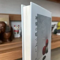 日本原書 小説