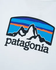 （ M ） patagonia(パタゴニア) 半袖 Tシャツ