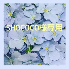SHOCOCO様専用