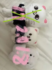 Stray Kids ジニレット 現 뿌