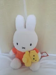 クマとは ミッフィードール