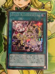 遊戯王 赫の聖女カルテシア 25thシークレット 絵違い - メルカリ