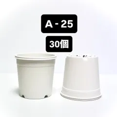 プラ鉢　A-25 白　30個　カネヤ　多肉植物のサムネイル