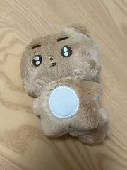 ポバトゥ ポバトゥ テヒョン 出品