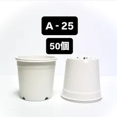 プラ鉢　A-25 白　50個　カネヤ　多肉植物のサムネイル