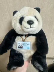 人気,お得 アイバオ フバオ 人形 出品