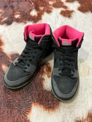 ナイキ SB ダンク ハイ プレミア ノーザン ライツ 270mm