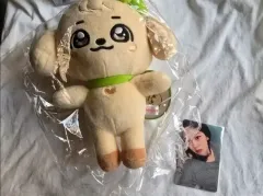 未開封)ユジン7万円特典トレカ&カンアンジオリジナルPLUSHぬいぐるみMINIVEポップアップIVE