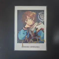 三毛縞 斑 ぱしゃこれ 7周年