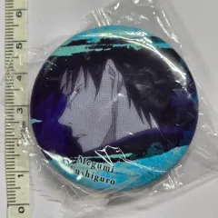 呪術廻戦 缶バッジ ピン ー 恵