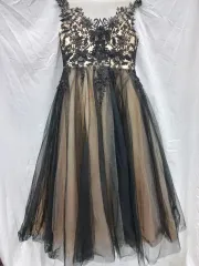 ベージュ 黒 シースルー ドレス (女性) 55 )