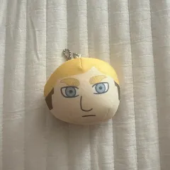 進撃の巨人 呪われたエルヴィン ぬいぐるみ 正規品 進撃