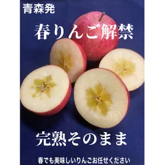 年間美味しい青森県産りんご🍎【春りんご】専用冷蔵庫から出荷◎3キロ家庭用