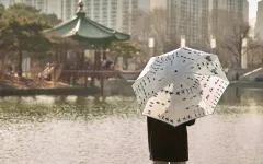 新商品 国立中央博物館 ムーン・ヒミョの궤 3段 自動傘