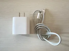【10セット】Apple 純正 iPhone iPad ACアダプター 充電器 20W TYPE-C コード TYPE-C Lightning