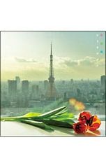 CD／レミオロメン／【CD+DVD】花鳥風月