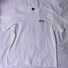 STUSSY 半袖 Look Beyond L
