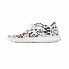 ナイキ エスビー NIKE SB JAMES JARVIS FREE SB R/R QS ジェームスジャービス フリーエスビー スニーカー US11 白 ホワイト 800569-160