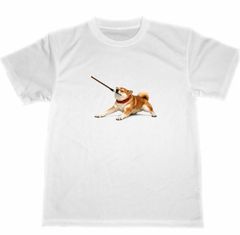 ZOZO TOWN 秋田犬デザイン サッカーユニフォーム シャツ、パンツセット