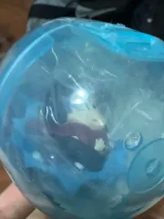 鬼滅の刃 義勇 カプセルフィギュア