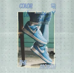 NIKE ナイキ エアフォース1 ロー レトロ