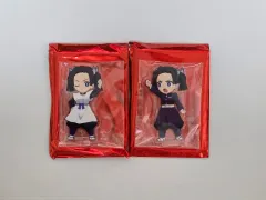 未開封 鬼滅の刃 接続されたアクリル 販売（アオイ）