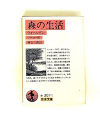 ホアキン・ソローリャ 画集2冊セット - メルカリ