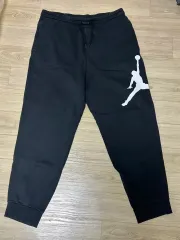 ナイキジョーダン トレーナー L