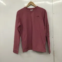 THE NORTH FACE ザノースフェイス Tシャツ 長袖 ntw82032 ロングスリーブテステッドプルーブンティー