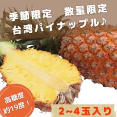 甘い樹実り完熟スナックパイン2種❣️生産量日本一の東村の