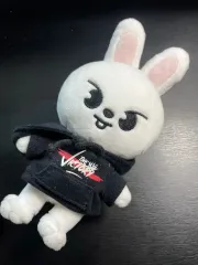 Stray Kids リノ ミニリービット 出品