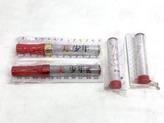 Item thumbnail for item 14d15f60-2006-4ccd-beef-f284fac35e10