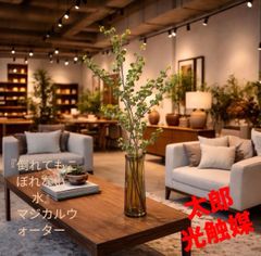 光触媒 人工観葉植物 ウォールグリーン フェイクグリーン 壁掛け 光触媒 人工観葉植物 ウォールグリーン フェイクグリーン 壁掛け