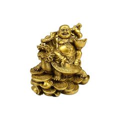 縁起物！額入り∞蛇のぬけがら 金運 幸運 シマヘビ 爬虫類 - メルカリ