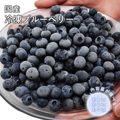最高級採れた新鮮ブルーベリー 超希少大粒秀品激甘 本日新入荷 2点限定