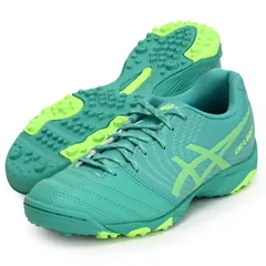 サイズ20.5cm、アシックス asics  DS LIGHT JR GS TF (DSライト)  ジュニア サッカートレーニングシューズ  26SS (1104A053-301)