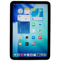 ジャンク Apple iPad mini 6世代 256GB スペースグレイ 2026年最新iPAD