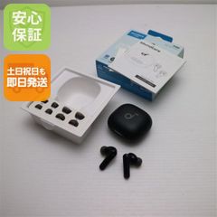 オーディオ機器 ≪未使用品≫ Pilot パイロット 翻訳機能搭載