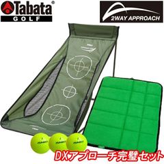 エジソンゴルフ アプローチ達人 ゴルフ練習器具 ネット 【梅雨時期の 