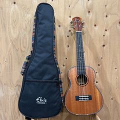 Item thumbnail for item 775a4a54-c75d-430c-bfe3-2ae83e1ec853