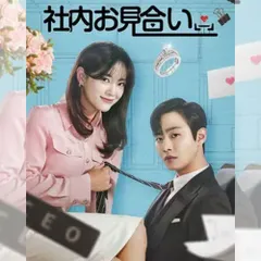 社内お見合い 韓国ドラマ DVD 日本語字幕 ノーカット 全話収録 [並行輸入品] 出演：アン・ヒョソプ／キム・セジョン 送料無料のサムネイル