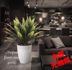 光触媒 人工観葉植物 ウォールグリーン フェイクグリーン 壁掛け 光触媒 人工観葉植物 ウォールグリーン フェイクグリーン 壁掛け