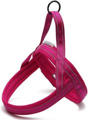 Item thumbnail for item ee194170-83ee-49fe-8159-6870e1cebed3